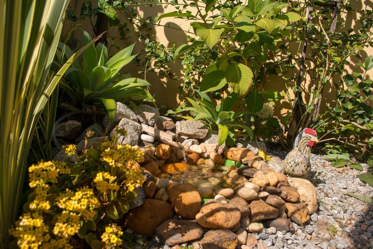 Jardim com pequena fonte de pedras e flores amarelas na entrada da Pousada da Serra